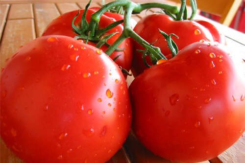 В Украине цена на томаты побила исторические рекорды 