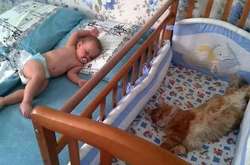 25 животных, которые плевали на ваши правила и принципы