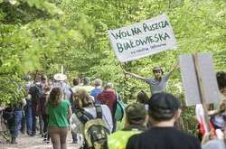 Сотні європейців протестували у Польщі проти вирубки Біловезької пущі
