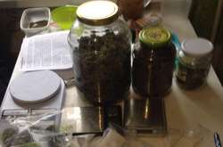 У столиці злодіїі відправляли наркотичні засоби поштою