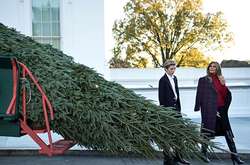 Праздник приближается! Мелания Трамп с сыном Бэрроном готовятся к Рождеству 