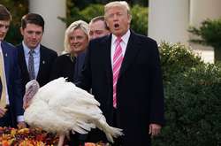 Накануне Дня благодарения Трамп помиловал двух индеек (видео)