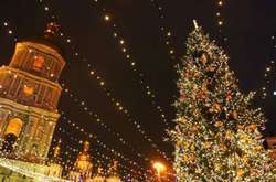 В Киев через неделю привезут новогоднюю елку