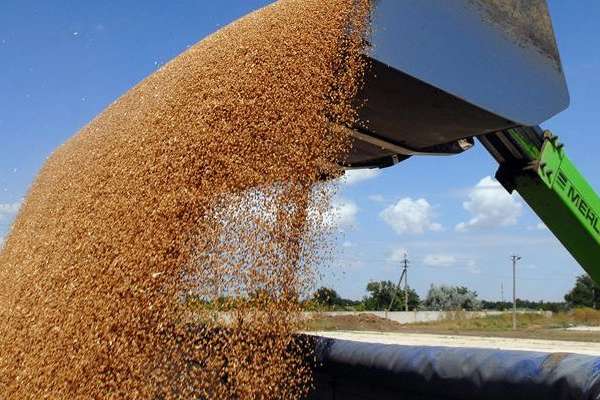 Українські аграрії відправили на експорт 16 мільйонів тонн зернових
