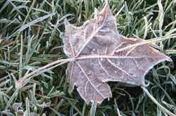 Найближчими днями в Україні буде холодно