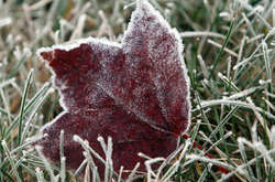 Морози і сніг: прогноз погоди на 24 листопада