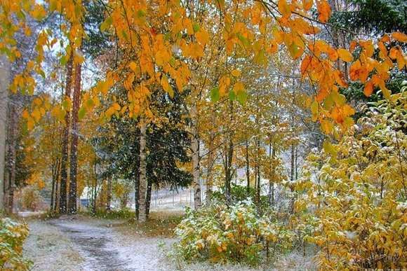 В Україні буде хмарно та прохолодно: прогноз погоди на 26 листопада