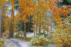 В Україні буде хмарно та прохолодно: прогноз погоди на 26 листопада