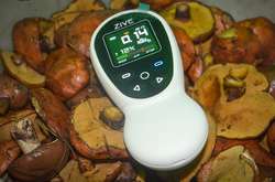 У Франції в грибах з Росії знайшли радіоактивний цезій 