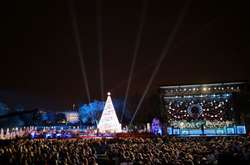 Трамп с женой зажгли новогоднюю елку (фото)