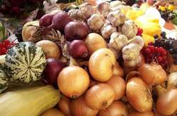 У Києві відбудуться продовольчі ярмарки (адреси)