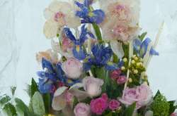 На Співочому полі покажуть квіти, заморожені у льоду