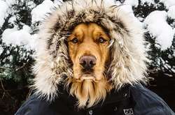 Великолепные снимки, от которых веет морозной свежестью 