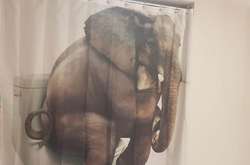 Шторы для ванн с очень необычными рисунками