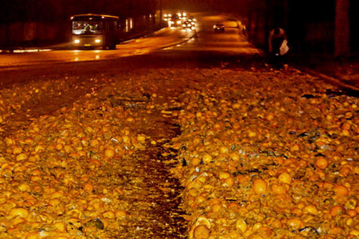 Свято наближається: у Дніпрі через ДТП дорогу засипало мандаринами