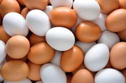 Експерти прогнозують подорожчання курячих яєць до 26 грн за десяток 