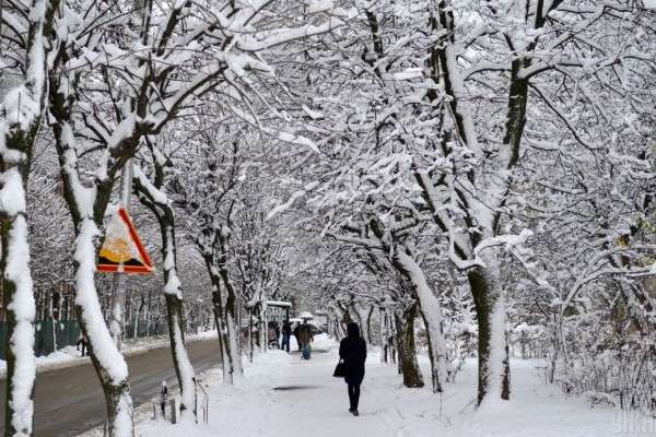 Во Львов пришла настоящая зима (фото)