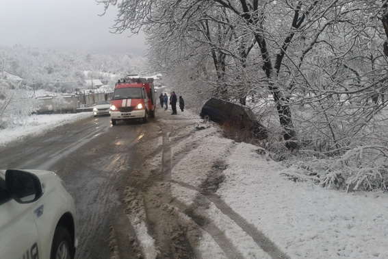Моторошна ДТП на Закарпатті: автівка влетіла у дерево