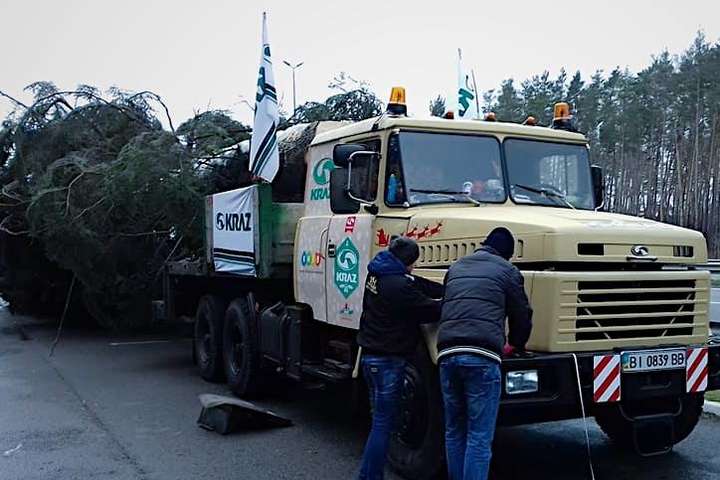 Поліція не пускає головну новорічну ялинку до Києва
