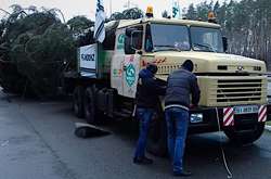 Главная новогодняя елка «застряла» под Киевом