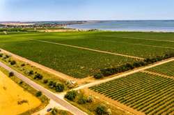 Нардеп з посиланням на керівника Херсонської ОДА підтвердив: землю Академії аграрних наук оброблятимуть китайці