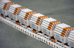 В Іспанії викрили нелегальну тютюнову фабрику, на якій працювали українці