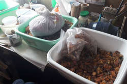 Масштабные обыски на Ривненщине: изъяли тонну янтаря на 10 млн