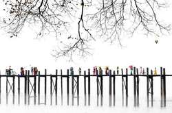 Опубликованы лучшие фотографии конкурса Siena International Photography Awards 2017 