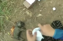 Вирусное видео: Велосипедист спас щенка, сделав искусственное дыхание 