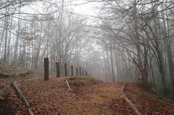 Завтра в Україні потеплішає