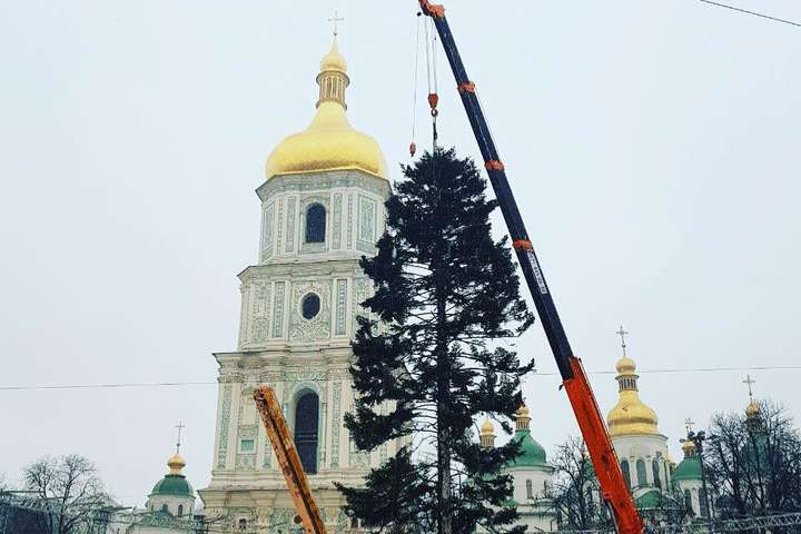 В Киеве установили новогоднюю елку (фото)