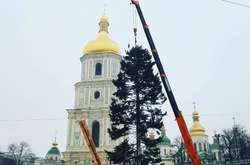 В Киеве установили новогоднюю елку (фото)