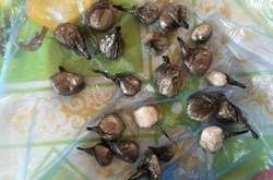 Вилучений метадон