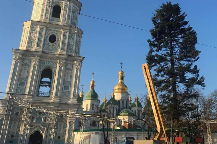 10-тонную главную елку Украины «реанимируют»
