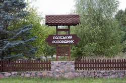 Лісові «квазізаповідники» України нарешті перетворилися на справжні