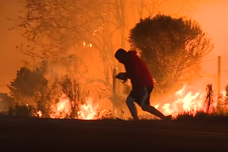 В охваченной пожарами Калифорнии мужчина спас дикого кролика (видео)