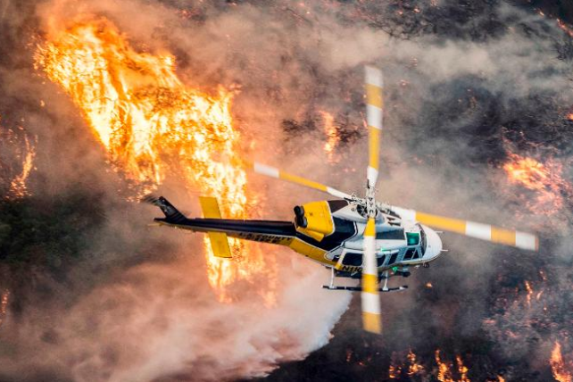 У США повідомили про першу жертву лісових пожеж у Каліфорнії