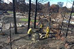 Американські пожежники