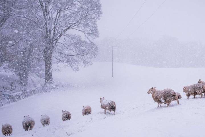 Рекордные снегопады засыпали Великобританию (фото)