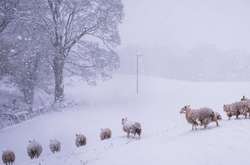 Рекордные снегопады засыпали Великобританию (фото)