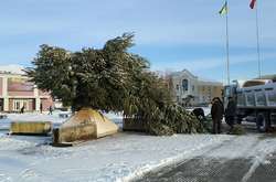 В Золотоноше рухнула главная городская елка (фото)