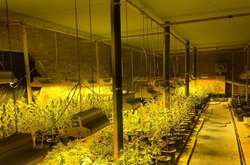 На Полтавщині викрили міжнародну нарколабораторію