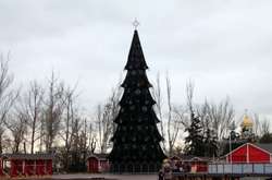 Жителі Миколаєва також підняли на сміх свою новорічну  « красуню »  