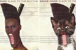 Художник изменил обложки популярных музыкальных альбомов, заменив артистов на котят