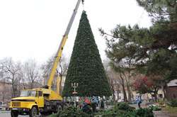 В Запорожье устанавливают 22-метровую искусственную елку (фото)