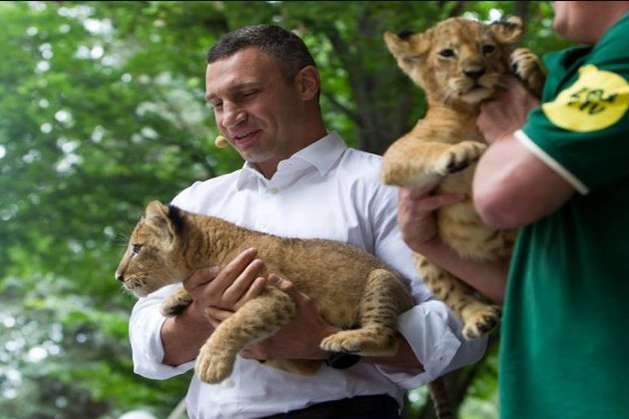 Кличко: реконструкція київського зоопарку розрахована на три роки