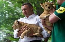 Кличко: реконструкція київського зоопарку розрахована на три роки