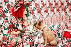 Sia выпустила яркий рождественский видеоролик в защиту бездомных животных