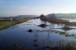 Масштабные подтопления из-за дождей на Закарпатье: появилось видео с воздуха