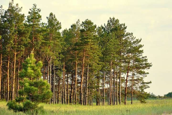 У Херсонській області створять перший регіональний ландшафтний парк